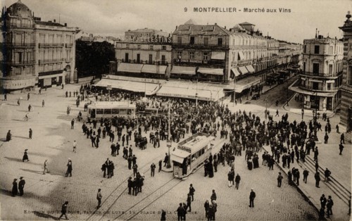MONTPELLIER