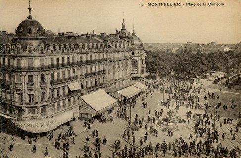 MONTPELLIER