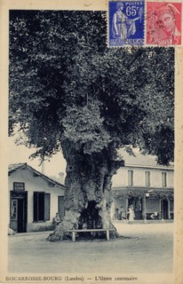 BISCARROSSE