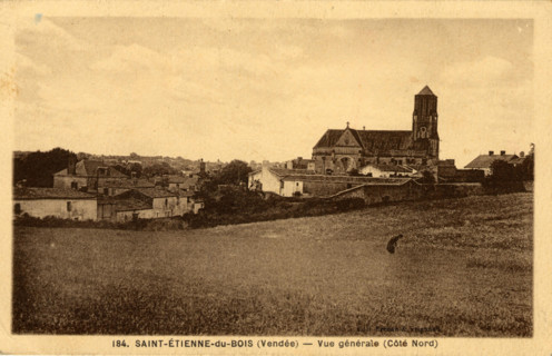 SAINT-ETIENNE-DU-BOIS