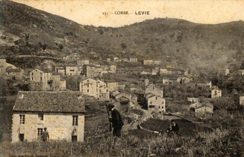 LEVIE