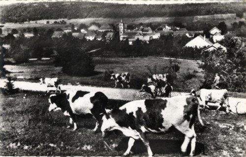 LANDRESSE