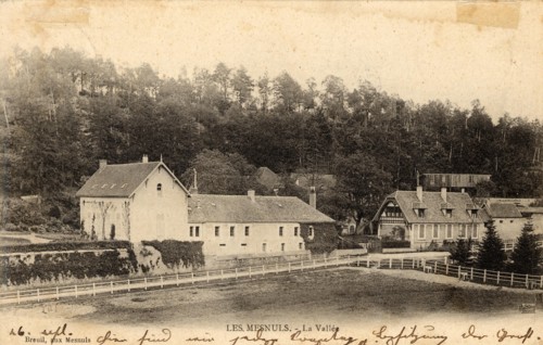 MESNULS
