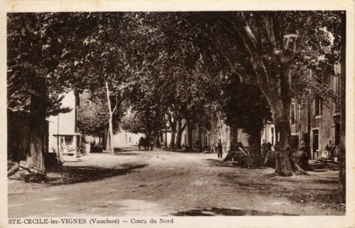SAINTE-CECILE-LES-VIGNES