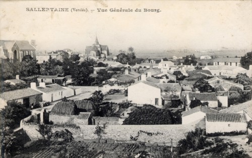 SALLERTAINE