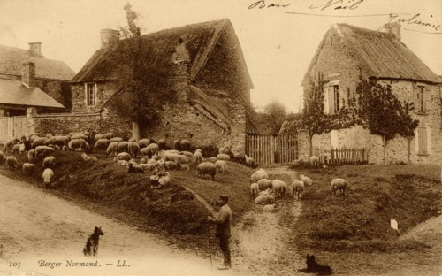FOLKLORE