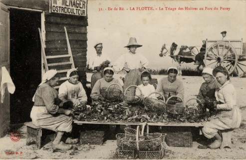 La Flotte-en-Ré