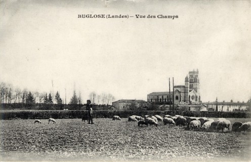 BUGLOSE
