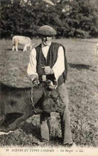 FOLKLORE