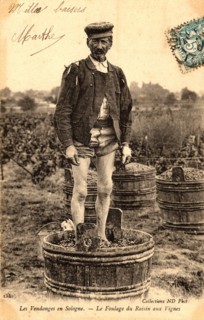 THEMES - ALCOOL
