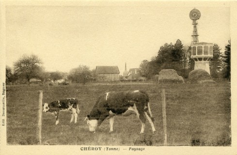 Cheroy