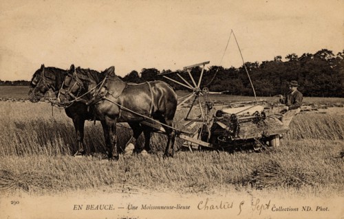 AGRICULTURE