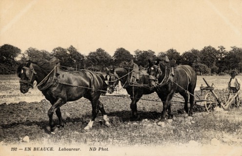 FARMING