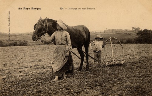 AGRICULTURE