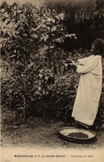 FARMING
