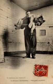 CIRQUE