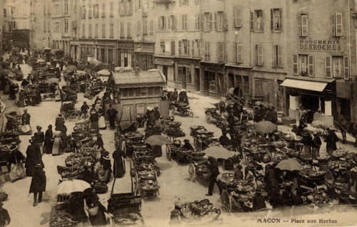 MACON