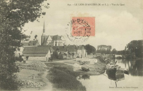 LION-D_ANGERS