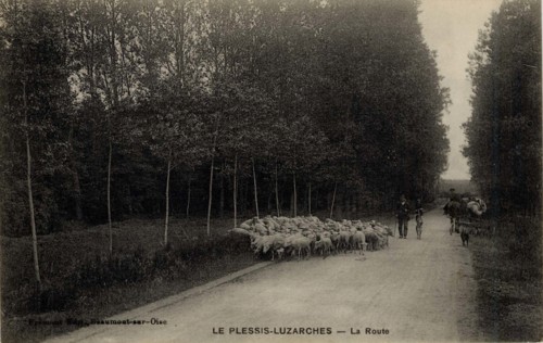 PLESSIS-LUZARCHES