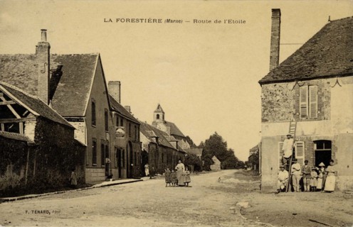 FORESTIERE
