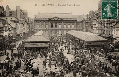 HAVRE