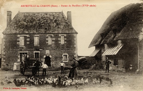 AMFREVILLE-LES-CHAMPS