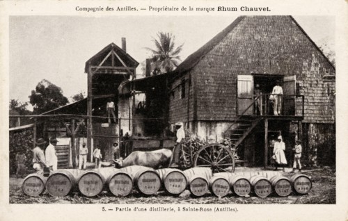 SAINTE-ROSE