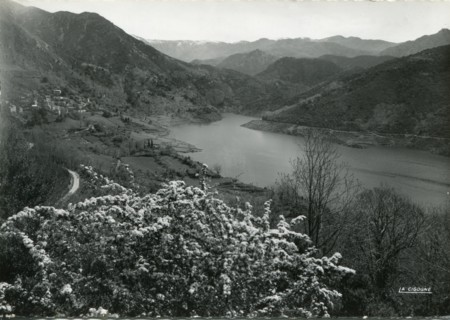 Tolla