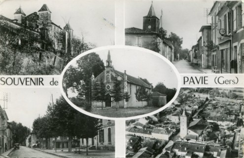 Pavie