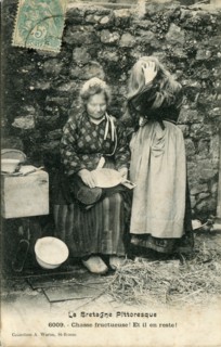 Chasse aux poux en Bretagne
