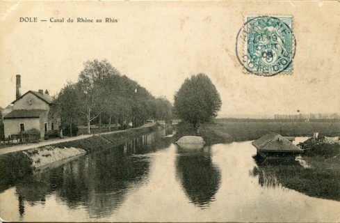 Dole.