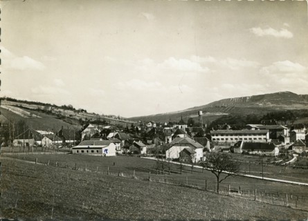 Mouchard.