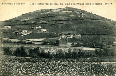 Brouilly