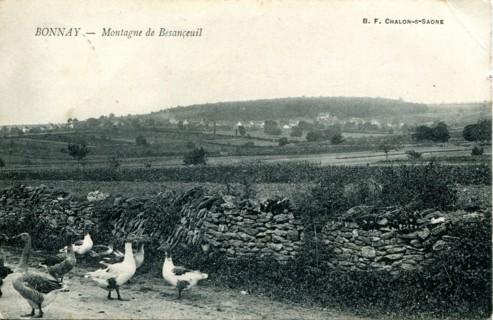 Bonnay