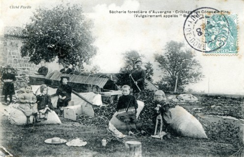 Metiers-Du-Bois