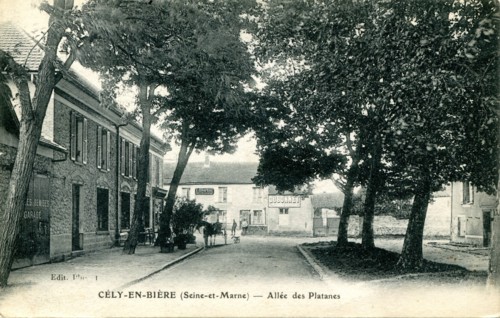 Cely