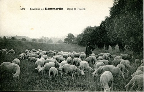 Dammartin-En-Goele