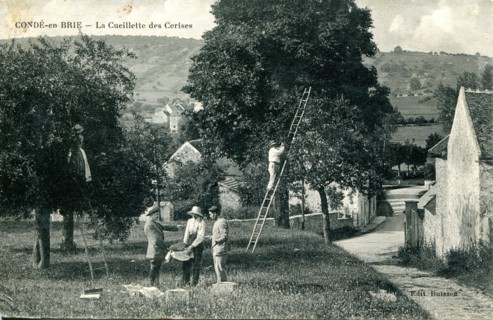 Conde-En-Brie