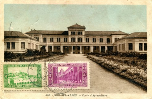 Sidi-Bel-Abbes (Algérie)