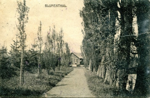 Pays-Bas-Vaals