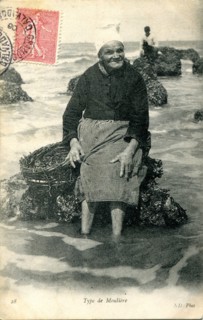 Old woman collecting mussels