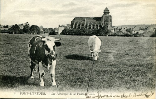 Pont-l'Evêque