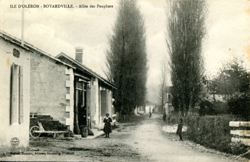 Boyardville
