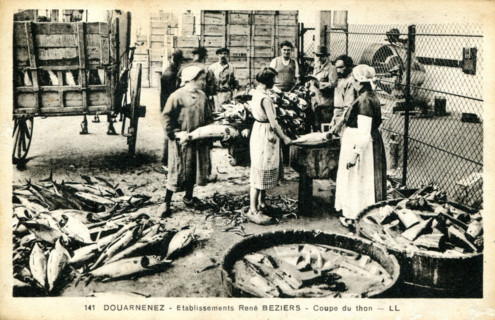 Douarnenez