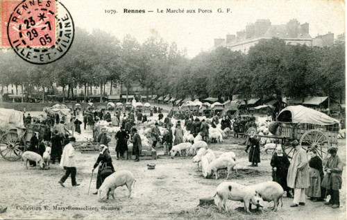 Rennes