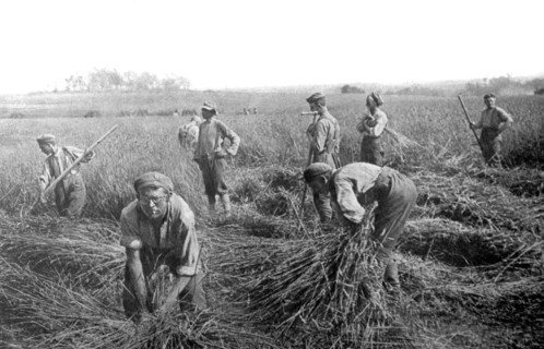 World War I. After the liberation of Lorraine (1918)