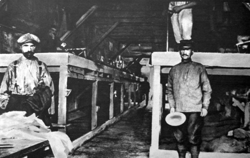 Première Guerre Mondiale. En Allemagne, camp de prisonniers alliés (1916)