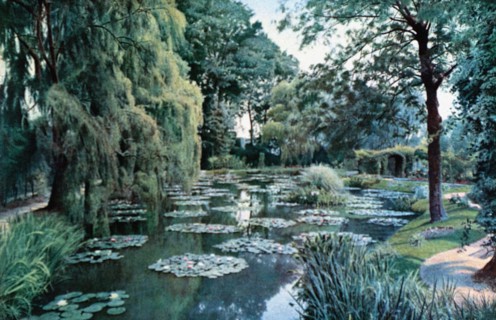 Le jardin d'eau aménagé par Claude Monet dans sa propriété de Giverny