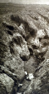 Bataille de la Somme, 1916