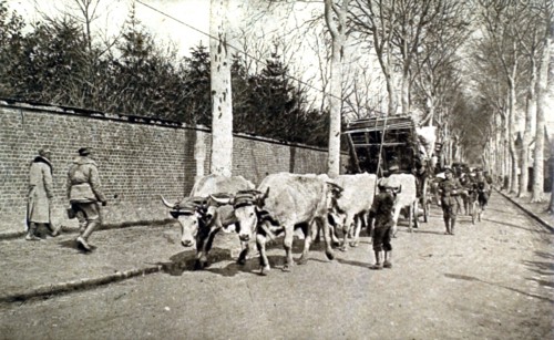 World War I. Civilian population evacuated from the Somme on the Oise roads (1918)